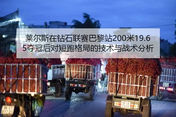 莱尔斯在钻石联赛巴黎站200米19.65夺冠后对短跑格局的技术与战术分析
